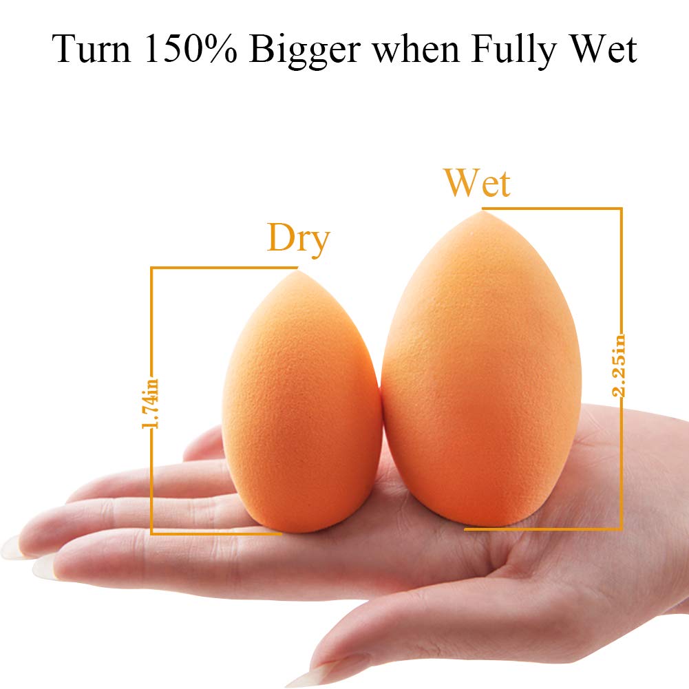 BAIMEI Makeup Sponges with Kabuki Foundation Brush, Latex-Free, Dry or Wet Dual Use, Professional Blender Beauty Sponge for Powder, Cream and Liquid Foundation Application (2 Sponges + 1 Brush) : Beauty