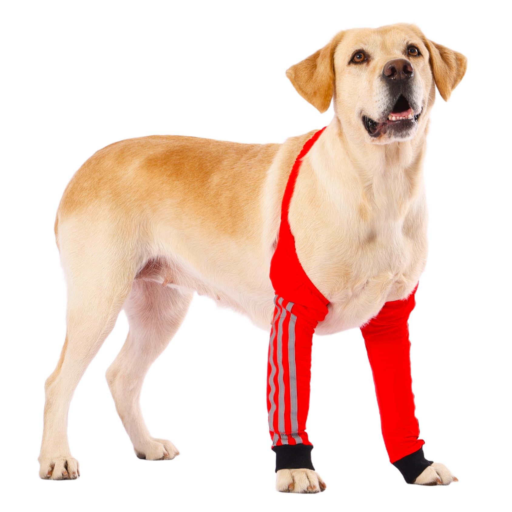 Photo 1 of LovinPet Dog Front Leg Sleeves with Reflective Straps, Elbow & Knee Protector Recovery Sleeve for Medium & Large Dogs, Pair for Both Front Legs, Breathable Padded Support for All-Season Use ,Red, 3XL