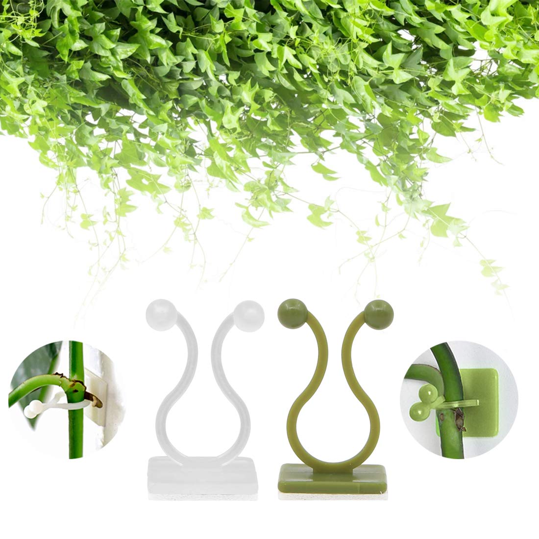Wudong 120 PCS Plant Vine Climbing Wall Fixture Clip,Self-Adhesive Invisible Hook Plant Sticky Clips Vines Holder For Support Creepers Room Decoration indoor outdoor