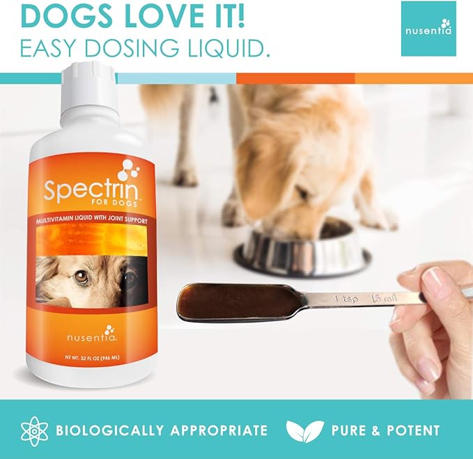 liquid folic acid for dogs