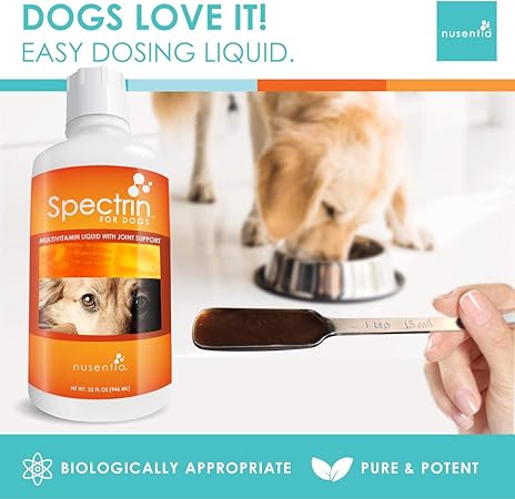 best liquid dog vitamins