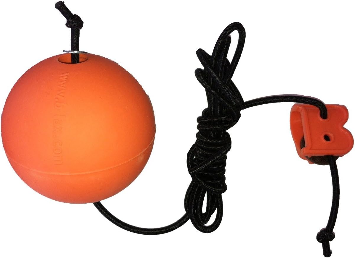 B-Lax Blast Lacrosse Trainer : Lacrosse Training Tools : Sports & Outdoors