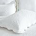 Calla Angel Sage Garden Luxury Pure Cotton Quilted Pillow Sham, Standard, 20x26, White