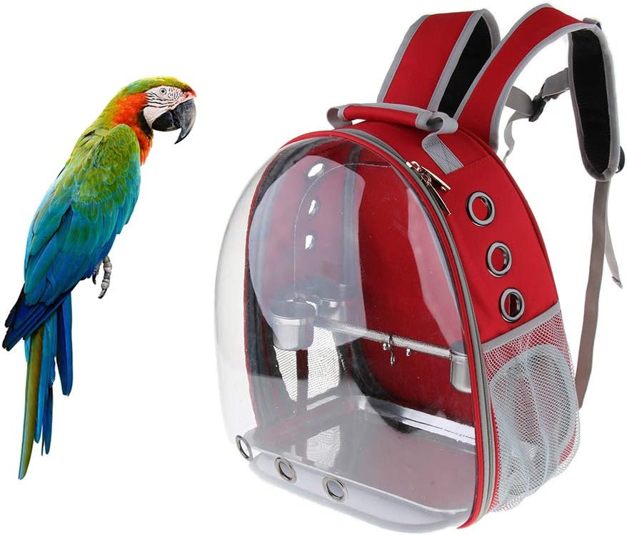 clear bird carrier