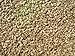 Cole's SM10 Sunflower Meats Bird Seed, 10-Pound