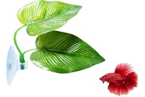 CousDUoBe Betta Fish Leaf Pad Improves Betta's Health by Simulating The Natural Habitat - Natural, Organic, Comfortable Rest Area for Fish Aquarium