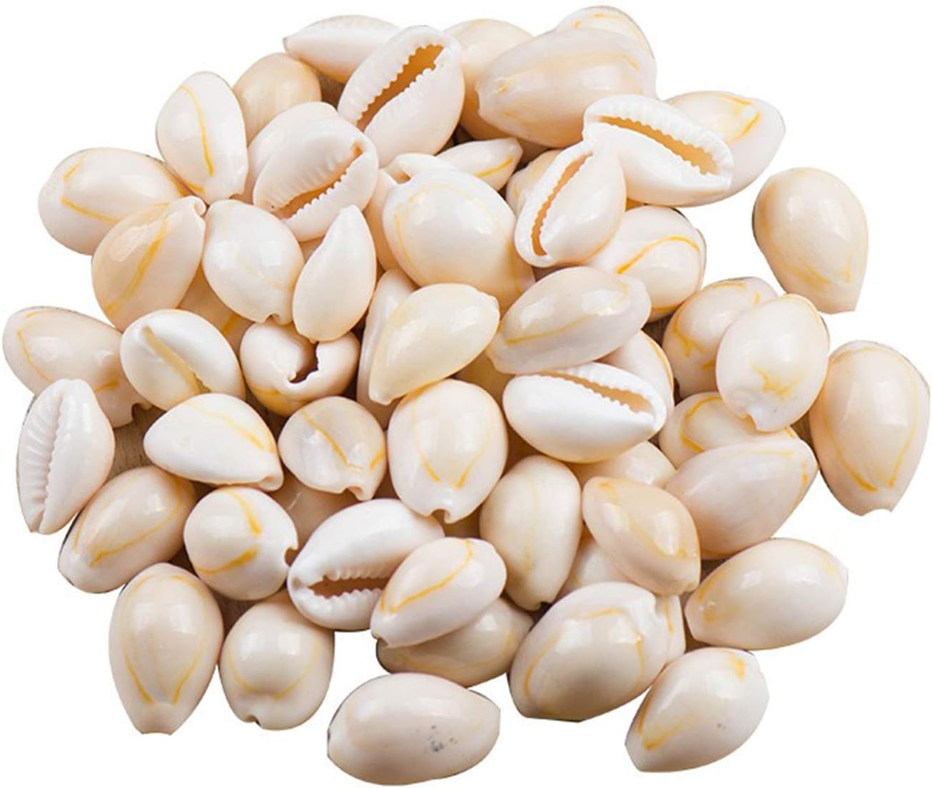 White Natural Spiral Shell Beads Beach Seashells with Holes for DIY Craft Jewelry Making Accessories(120 pcs)