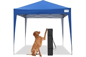 Quictent 10x10 Pop Up Canopy Tent, Outdoor Ez Up Gazebo One Person Set up, Portable and Compact, Shade for Commercial Event Camping Beach