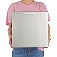 Adult Piggy Banks, The Largest Stainless Steel Piggy Bank, Can Only Save The Piggy Bank That Cannot be Taken Out(12 inch)