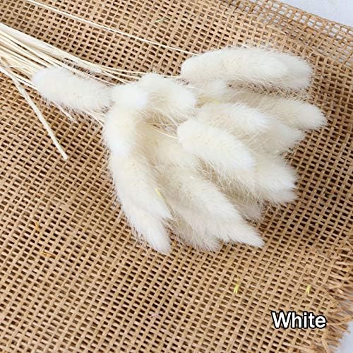 Flykee Rabbit Tail Dried Flowers,30 Pcs Colorful Natural Dried Flowers Real Flowers Eternal Bouquet for Photography Props Home and Wedding Decor (White)