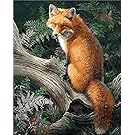 CaptainCrafts New Paint by Numbers 16x20 for Adults Beginner Children, Kids LINEN Canvas - Forest Animal Gold Fox (Frameless)