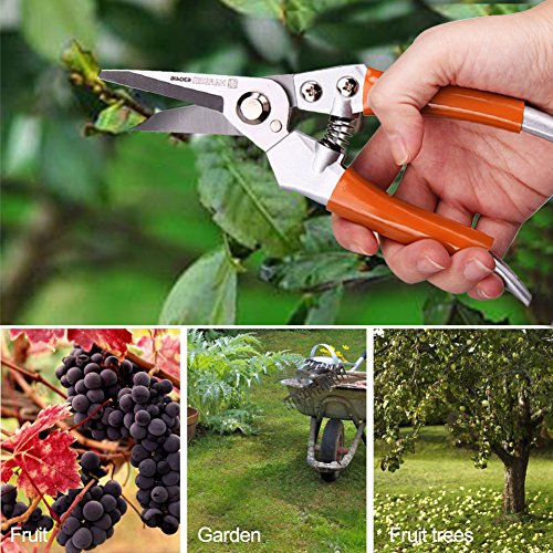 Pruning Shears Sharp Steel Garden Pruner 8" Straight Head Garden Pruning Shears for Branches / Flowers / Hiking / Camping