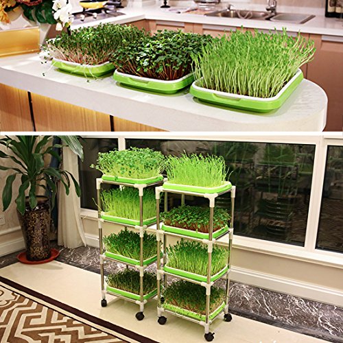Yamix 2 Pack Two-Tiered Seed Sprouter Tray Kitchen Crop Sprouter Germination Tray (Purple + White) - Thumbnail 4
