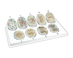Teaching Model Tools,Cell Enlargement of 10,000X