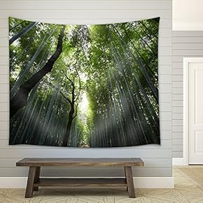 Nature Landscape of Bamboos - Fabric Wall Tapestry Home Decor - 51x60 inches