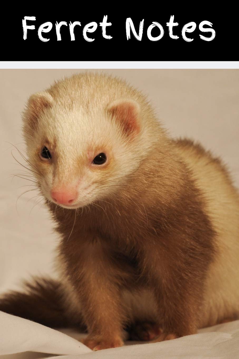 Ferret Notes Customized Easy To Use Daily Pet Ferret Accessories Care Log Book To Look After All Your Pet Ferret S Needs Great For Recording Health Cleaning And Equipment Maintenance Books Petcraze