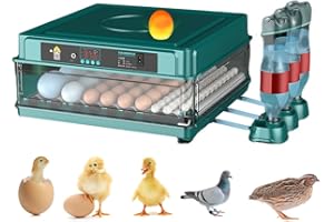 APLAYFULBEE Automatic Egg Incubator 12-38 Egg Digital Poultry Hatcher Machine ith Automatic Egg Turning, Temperature & Humidity Control, Efficient LED Lighting for Chicken Geese Ducks Pigeons Quails (38 Eggs)