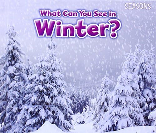 What Can You See In Winter? (Seasons)