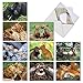 The Best Card Company - 10 Adorable Note Cards Blank (4 x 5.12 Inch) - Wildlife and Animal Cards, Assorted Boxed Kids Set - Animal Smackers M6594OCB