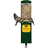 Birds Choice Classic Squirrel Resistant Bird Feeder with Pole Mount | Green | Sturdy Steel Tube Seed Dispenser, for Cardinals, Chickadees and Woodpeckers, Weather-Resistant for Backyards