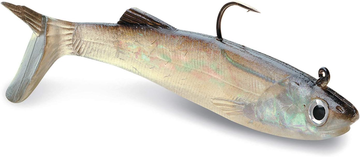 Storm WildEye Live Anchovy Bait, 3Inch, Artificial Bait Amazon Canada