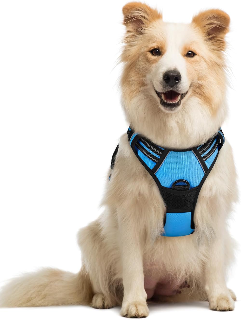 rabbitgoo Dog Harness Medium No Pull Reflective Adjustable Vest Blue M