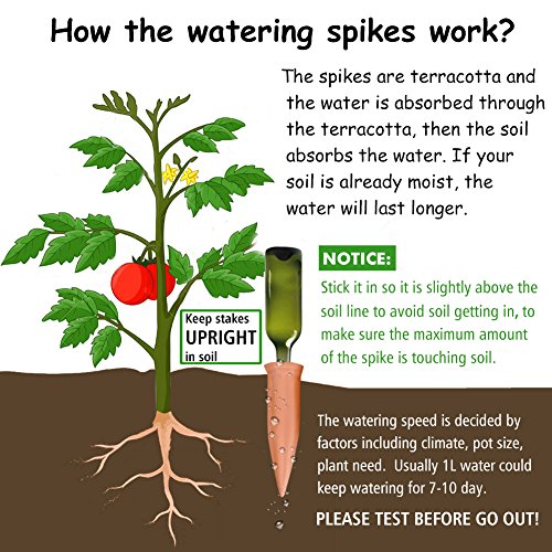 2 Watering+Devices+Terracotta+Vacation+Waterer