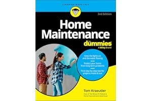 Home Maintenance For Dummies