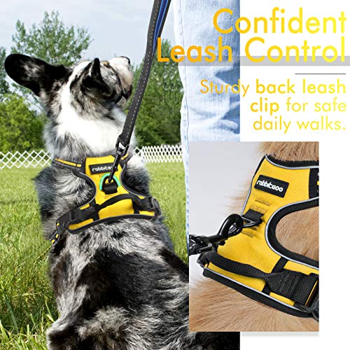 rabbitgoo Dog Harness, NoPull Pet Harness with 2 Leash Clips