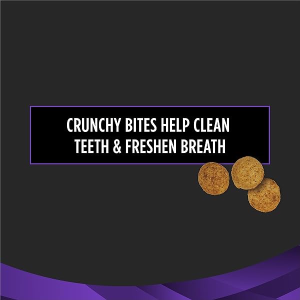 PURINA PRO PLAN VETERINARY DIETS DENTAL BITES CAT TREATS – 1.8 OZ. POUCH