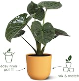 elho Jazz Round 23cm Flower Pot Indoor 100% Recycled Plastic Yellow view 2