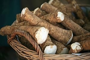 COUNTRY CREEK ACRES GROWING IS IN OUR ROOTS Horseradish Root, Sauget, 6 ounces (Sold by Weight). Great for Planting, Seasoning or Sauces. A taste delight.