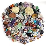 Rock &amp; Mineral Collection Activity Kit (Over 150 Pcs) , Educational Identification Sheet plus 2 Easy Break Geodes, Fossilized Shark Teeth and Arrowheads, Dancing Bear Brand