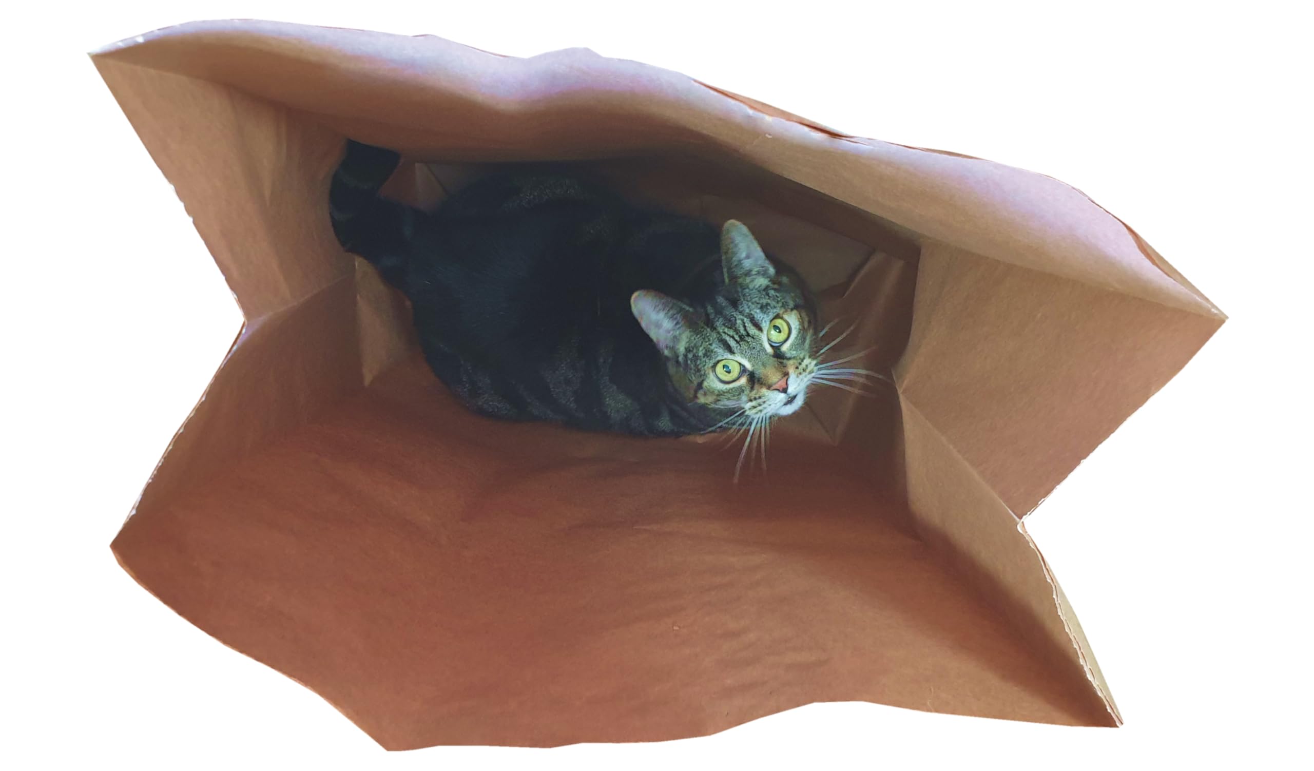 Cat FurNature - Catnip Attack Bags