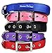 Downtown Pet Supply Deluxe Dog Collar - Padded Adjustable Dog Collar with Metal Buckle & D-Ring - Machine Washable & Water Resistant Thick Dog Collar - Purple - L - Large Dog Collar