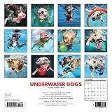 Image de 2017 Underwater Dogs Mini Wall Calendar