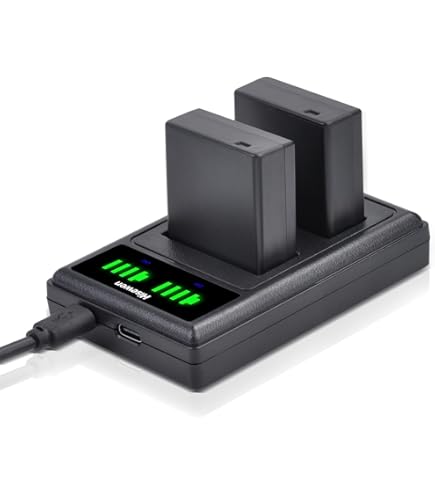 2 Batteries DMW-BLG10 + Chargeur Double USB Pour Appareils Photo Lumix (compatible DC-LX100 II, DMC-GF6, GX80, Etc.)