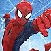 Marvel Spiderman Dawn Cotton 28