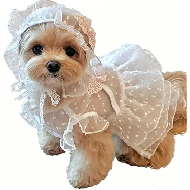 dress with dogs Amazon.com New Releases: The best-selling new & future releases in Dog  Dresses