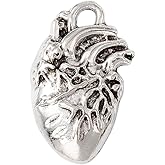 DanLingJewelry 50Pcs Tibetan Heart Charms Gothic Style Antique Silver Anatomical Organ Heart Charms for Jewelry Making Necklaces Earrings