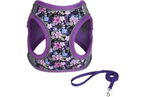 JUFOO S Purple Flower Pattern Dog Harness and Leash Set,No Escape Easy Walk Puppy Harnesses for Training Walking，Breathable Adjustable Puppy Vest for Small Medium Dogs, Cats (Purple, S)