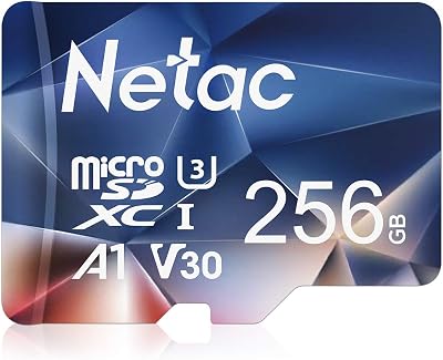 Netac 256GB microSDXC Card UHS-I C10 U3 A1 V30 100MB/s 30MB/s