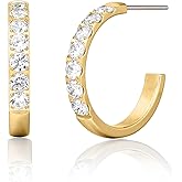 Limerencia G23 Pure Titanium Hypoallergenic Hoop Earrings for Women Sensitive Ears