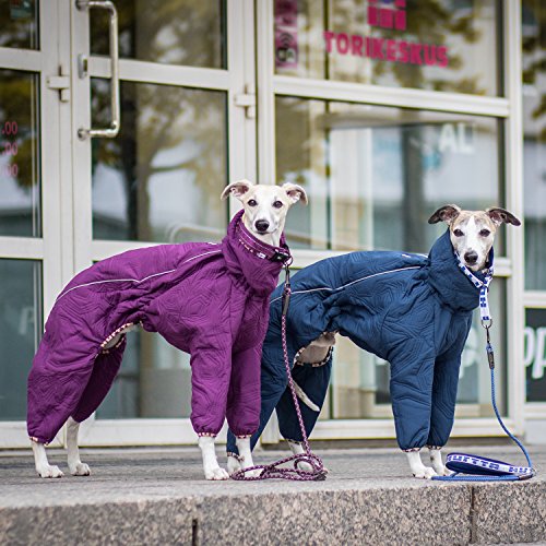 Hurtta Casual Quilted Overall Dog Coat, River, 16L Pricepulse