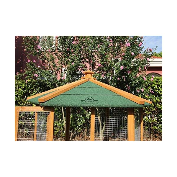 Pets Imperial® Voliera Esagonale in Legno