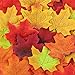 CEWOR 1000pcs Assorted Artificial Maple Leaves Mixed Fall Colored for Wedding Home Thanks-Giving Events and Outdoor Decoration (Artificial Maple Leaves)