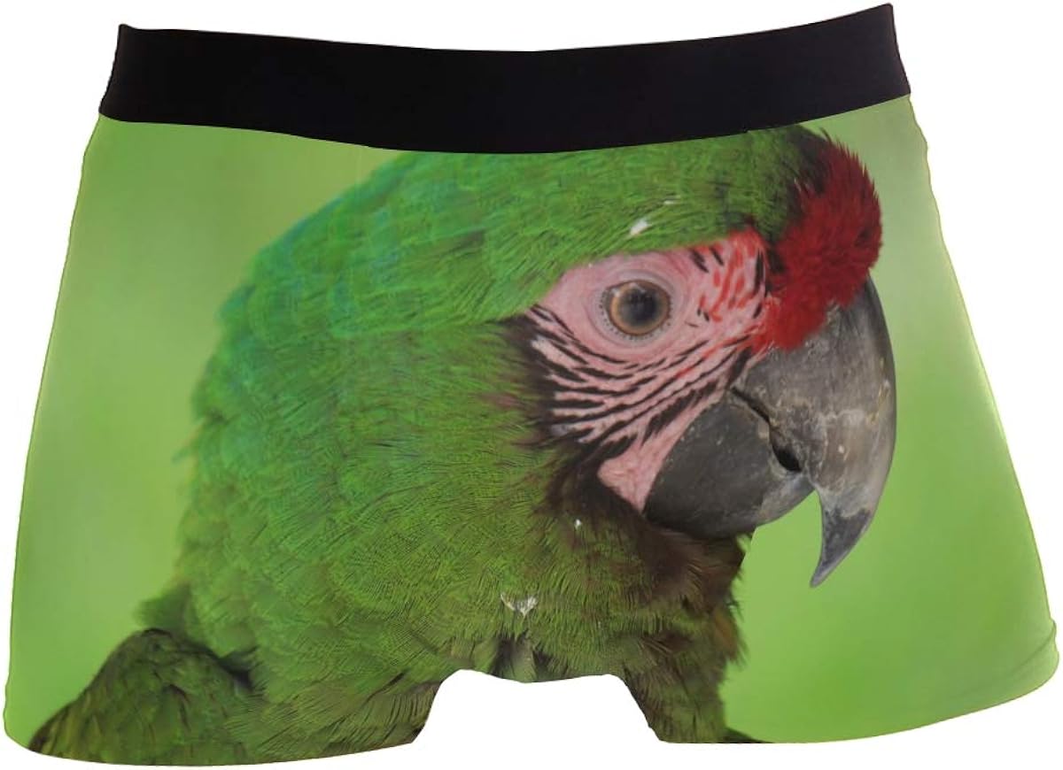 Men Boxer Briefs Macaw Green Budgie Bird Animal Underwear for Boy Youth