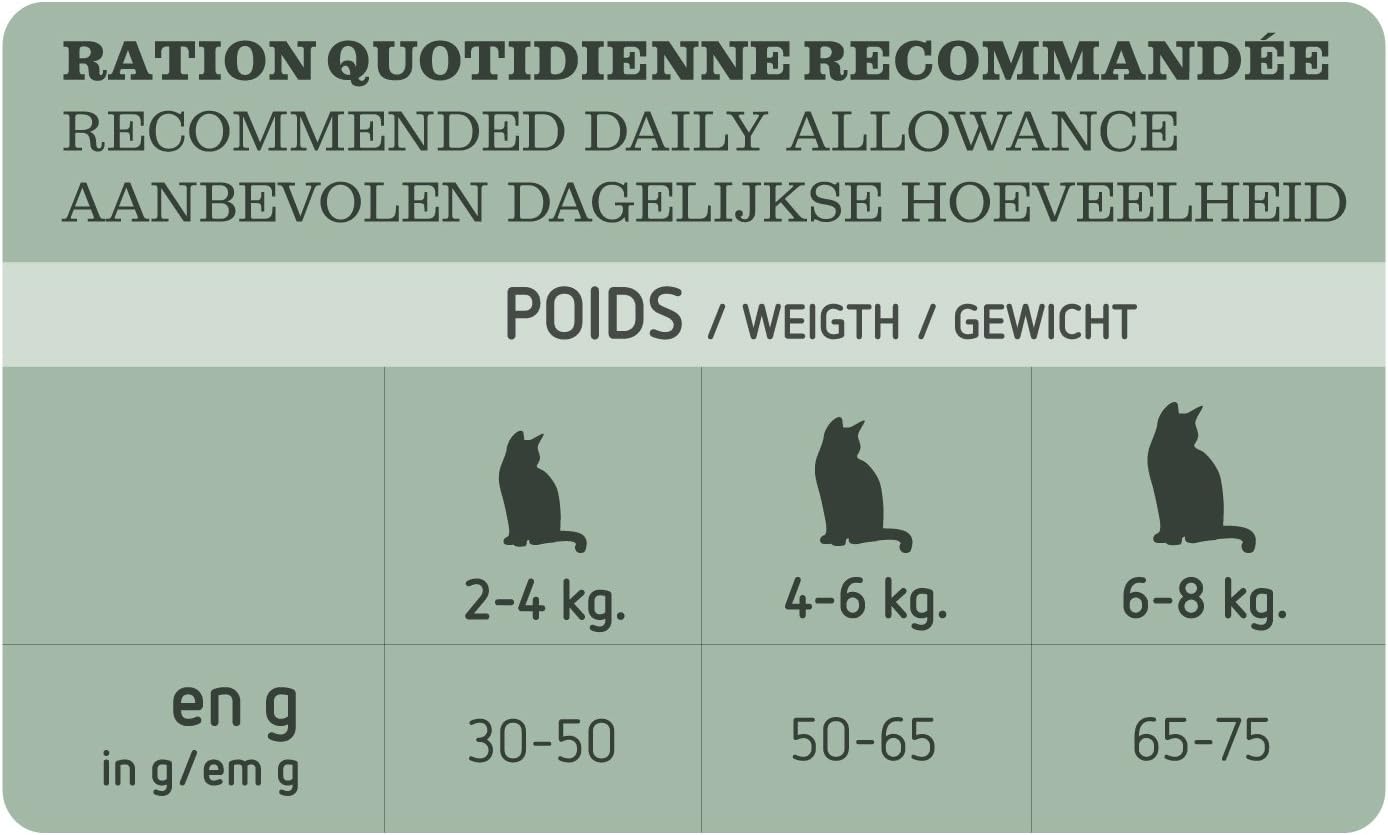 Ration quotidienne de croquettes pour chat recommandée