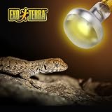 Exo Terra Intense Basking Spot Lamp 50 W view 2