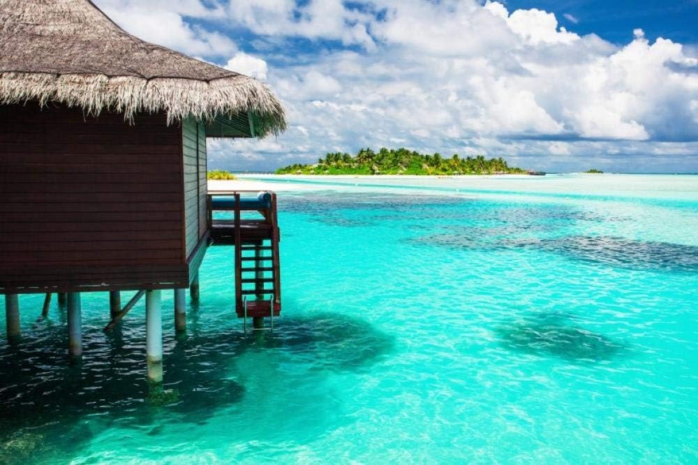 QPGGY Wooden Jigsaw Puzzles 500 Pieces for Adults Maldives Seaside Landscape Pictures-19 Educational Toys Games